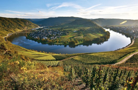 Marketing Lessons Luxury Wine Brands Teach Us About Authenticity And Prestige The European 