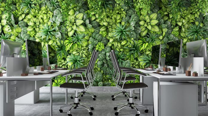 Making Your Office Environmentally Friendly