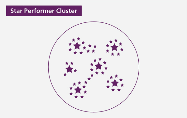 star-performer-cluster-archetype