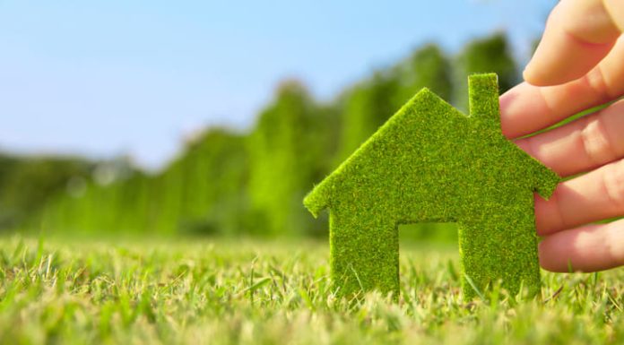 millennials and sustainable homes