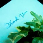 Thank-You Cards