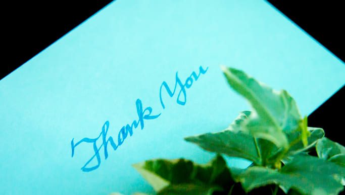Thank-You Cards