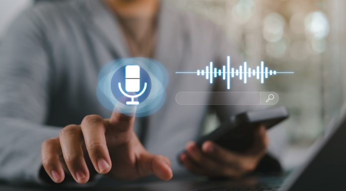 Voice in the Enterprise