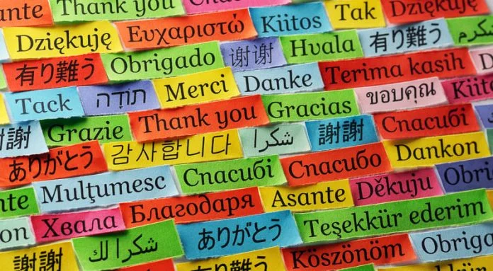 learn a foreign language quickly