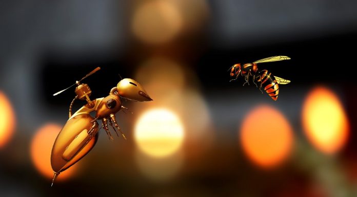 Evaluating Automation: A Lesson in Technological Advancement bee