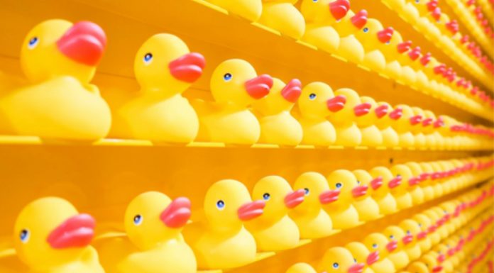 Grow your business the right way by utilising low-cost production areas ducks