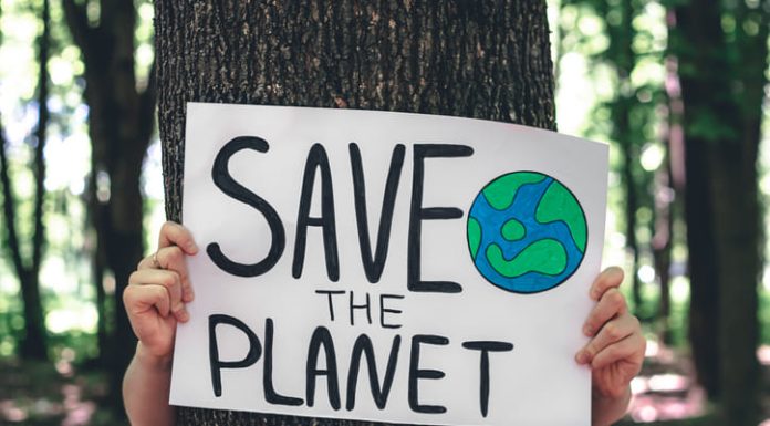 Environmentally-Friendly Countries in The World