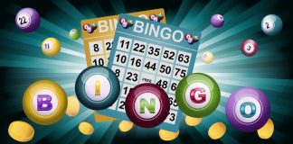bingo game software