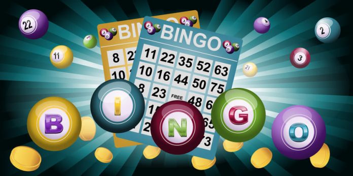 bingo game software