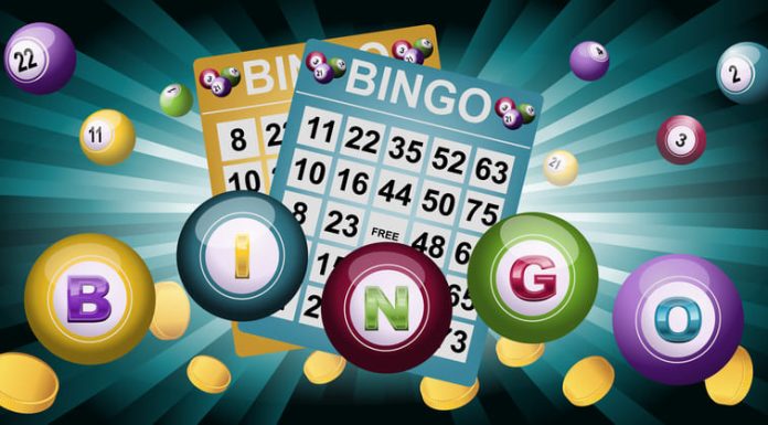 bingo game software
