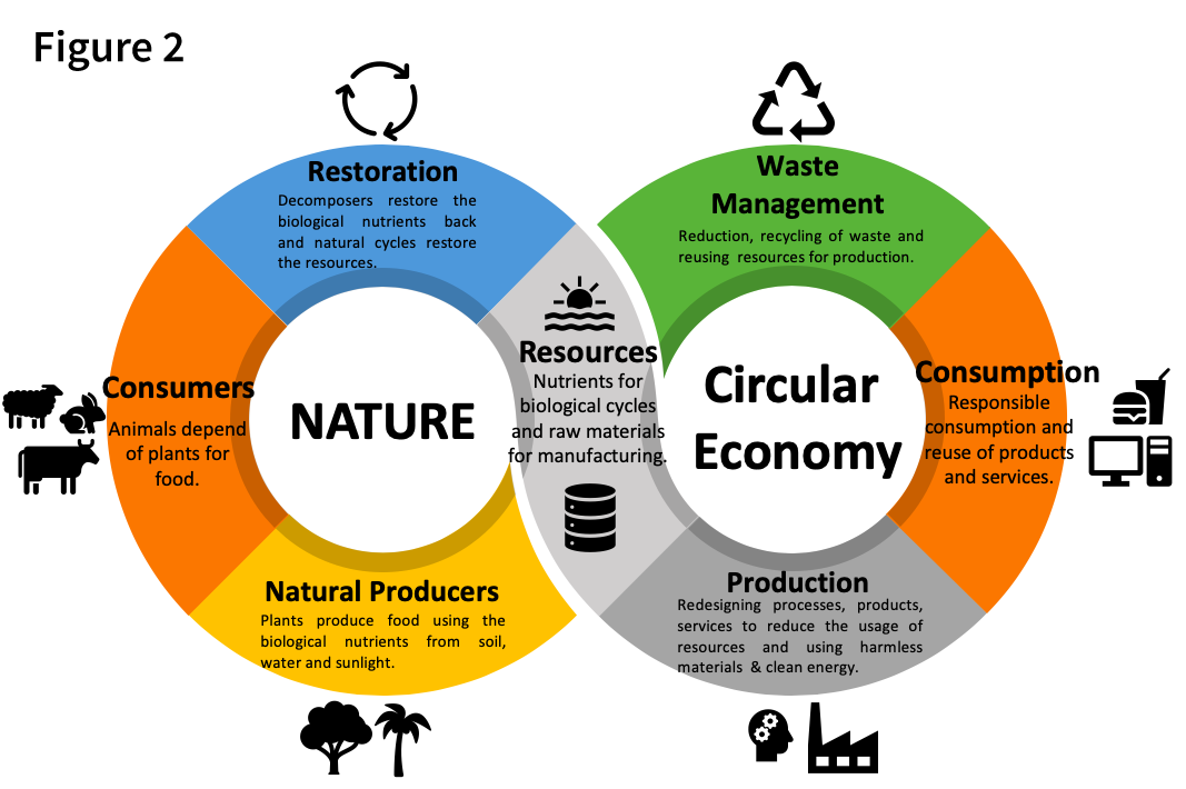 Circular economy. Circular economy principles. Production, consumption, and waste Management. Economic circle. Main production