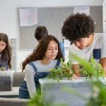 Empowering Women Within STEM Careers STEM Careers