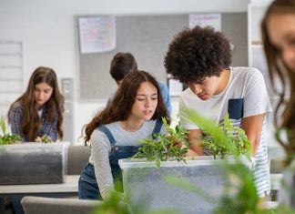 Empowering Women Within STEM Careers STEM Careers