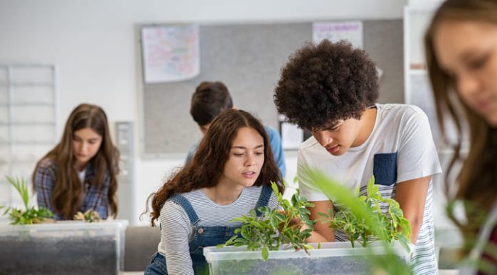Empowering Women Within STEM Careers STEM Careers