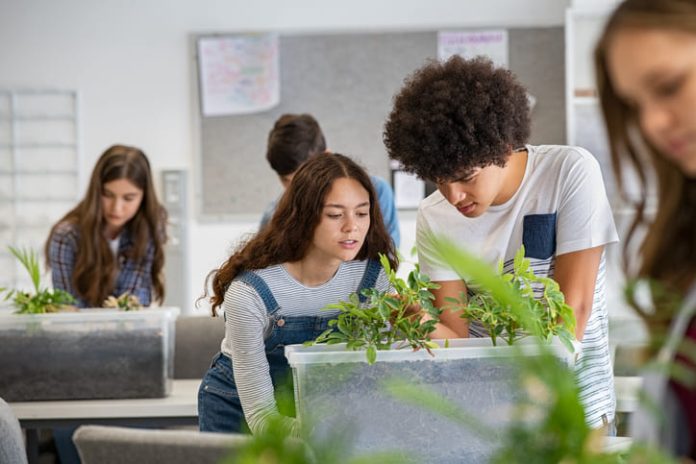 STEM Careers