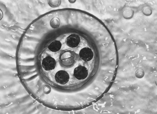 How to Unclog Your Drains?