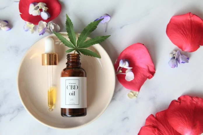 CBD Cannabis Oil (cannabidiol) bottle and dropper on small pink plate. CBD