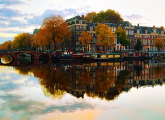 European SEO – The Best SEO & Translation Strategy