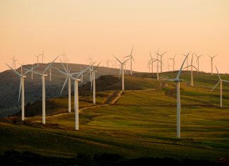 How Businesses Can Benefit From Renewable Business Energy