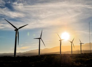 How Businesses Can Benefit From Renewable Business Energy