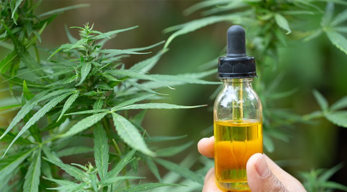 What is cannabis oil? Let’s look at CBD oil in the UK