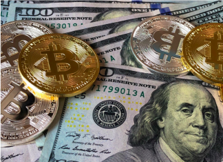 Top Universities Who Added Bitcoin to Their Curriculum