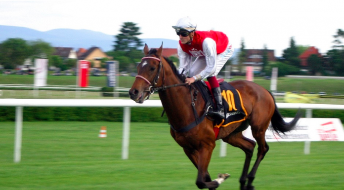 Wealthy Owners Driving Europe’s Horse Racing Sector