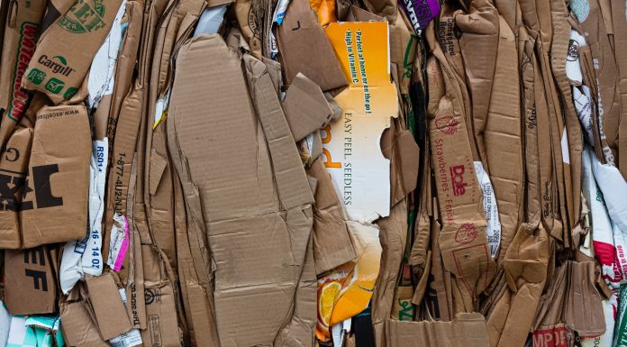 Loot Boxes are Gambling According to the UK House of Lords