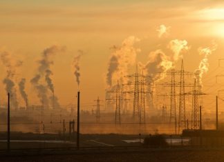 5 Causes Of Air Pollution (And How You Can Help!)