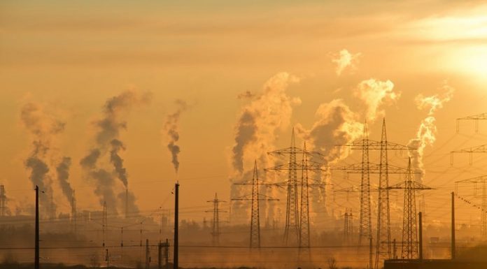 5 Causes Of Air Pollution (And How You Can Help!)