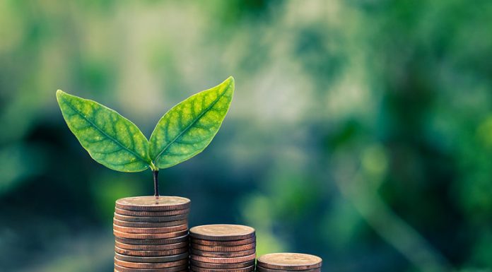 Don’t Cut the Sustainability Budget