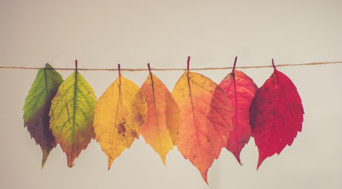 Embracing Change to Drive Innovation