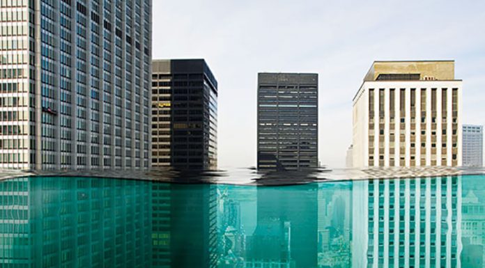 The New Responsibilities Of Companies In A Time Of Increasing Inequality and Climate Change