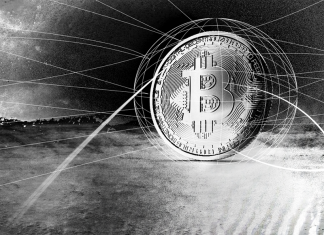 The Common Ground of Bitcoin in a Socially-Distant World