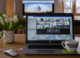 Advantages, Limits And Strategies For Online And Offline Collaboration