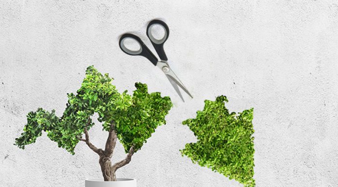 Don’t Cut The Sustainability Budget