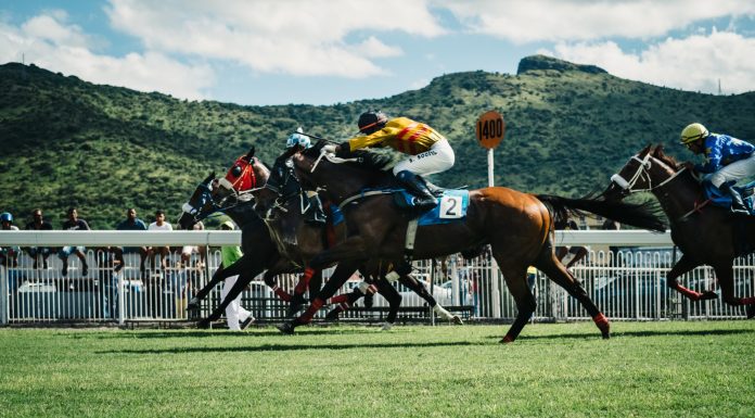 Derivatives In Horse And Greyhound Racing Are Gaining A Huge Foot In The Market