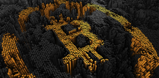 Dizzying Fluctuations in Bitcoin's Price