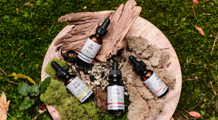 CBD Oil for Dogs: Worth the Hype? CBD Oil for Dogs