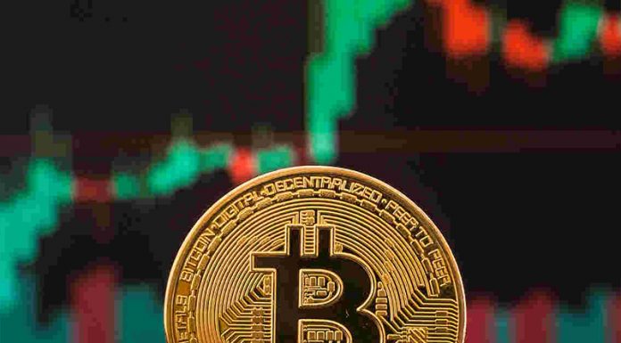 5 Key Tips to Get Success in Bitcoin Trading Bitcoin trading