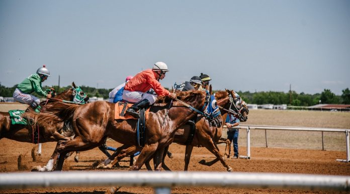 Understanding psychology in sports betting