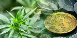 Cryptocurrency And CBD