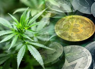 Cryptocurrency And CBD