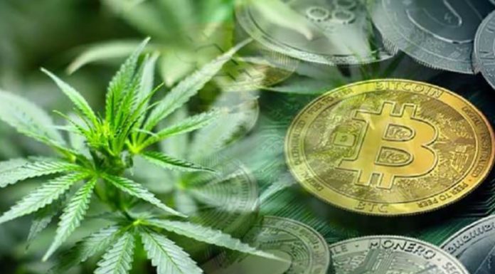 Cryptocurrency And CBD