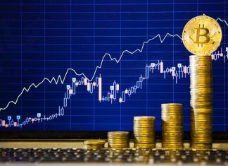 Crypto Hedge Funds