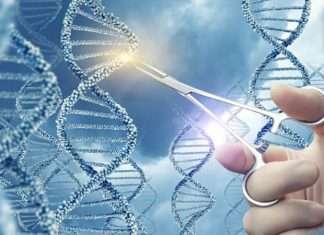 CRISPR Revolution