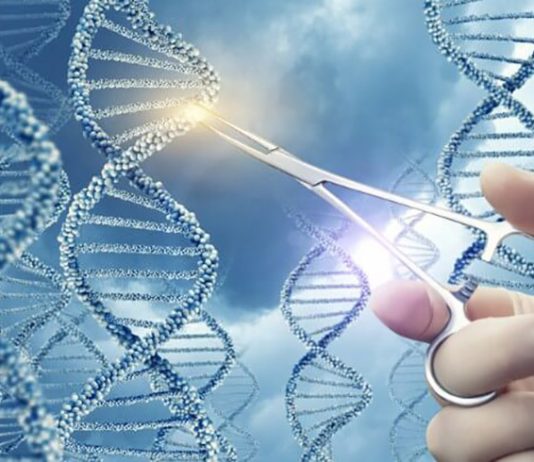 CRISPR Revolution