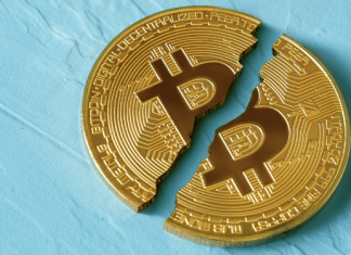 bitcoin halving