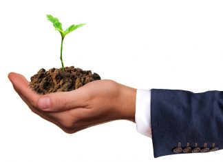 Business Grow