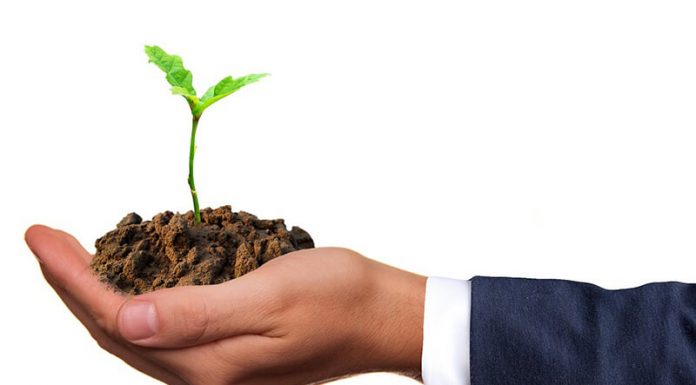 Fascinating Kratom Tactics That Can Help Your Business Grow Business Grow